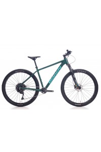 Bianchi  29 Jant Dag Bisikleti MAGMA COMP 9.1 Cues 1x10 vites