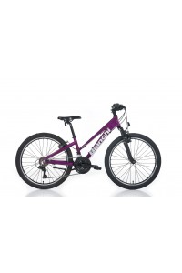 Bianchi XR24.3 24 jant Kız Çocuk Bisikleti 21V 